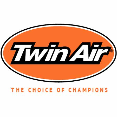 Twin Air Logo